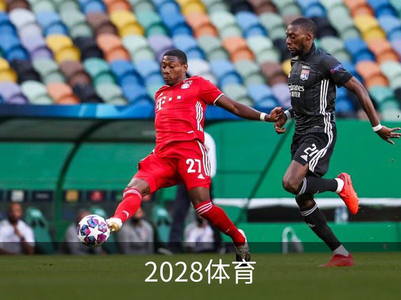 2028体育概况